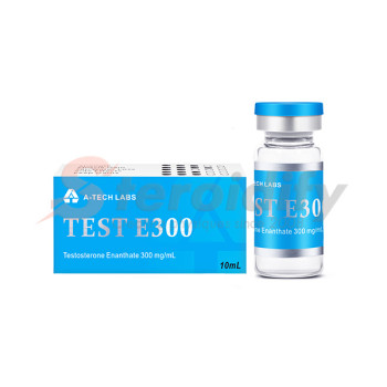 TEST E300