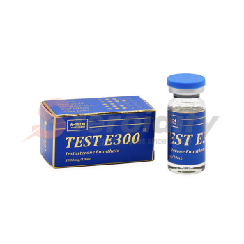 TEST E300
